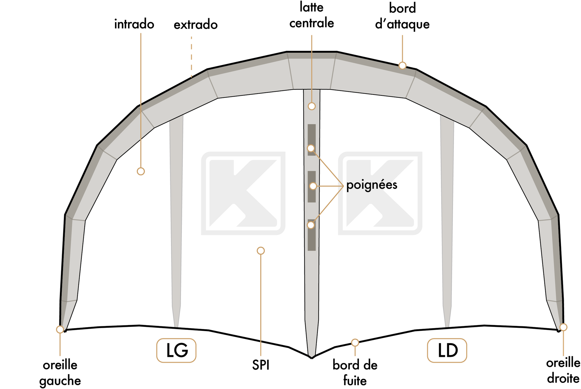 Schéma d'une aile de wing