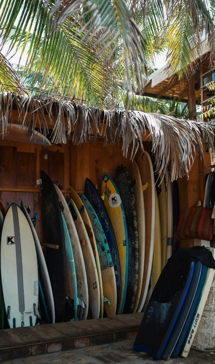 différentes planches de surf